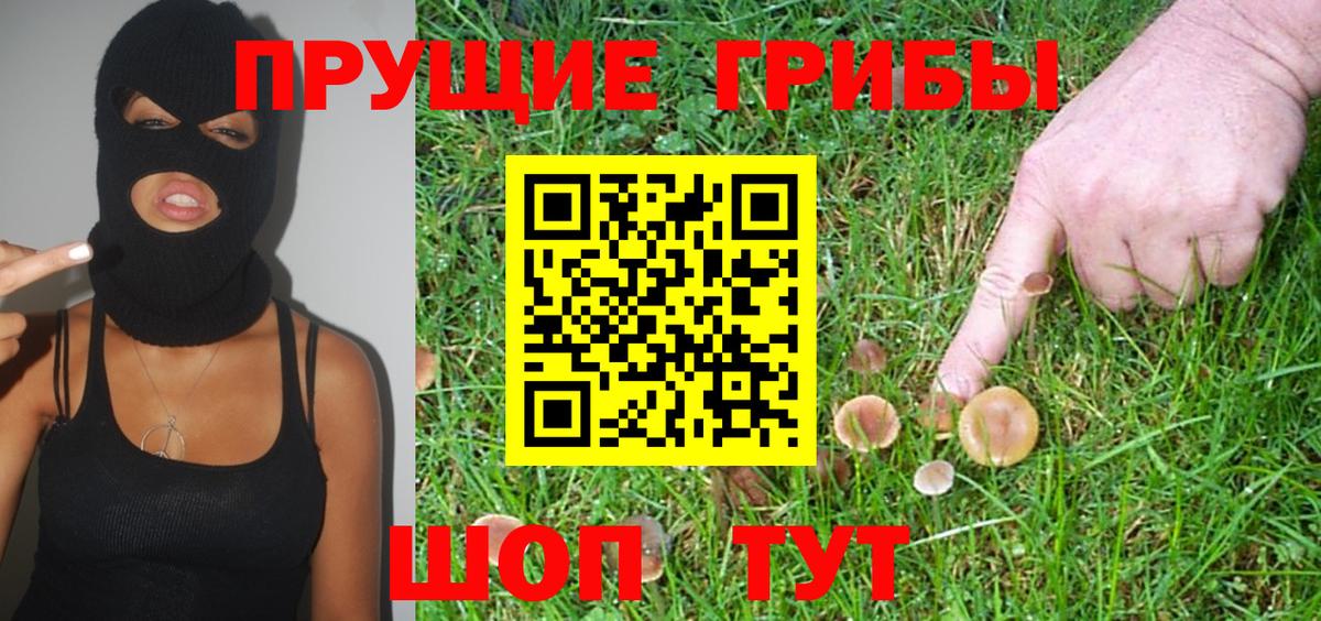 Гусь-Хрустальный  Псилоцибиновые грибы Cubensis  Вход с VPN  Галлюциногенные грибы Psilocybine cubensis 
