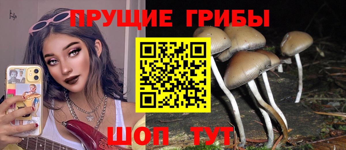 Галлюциногенные грибы мицелий Гусь-Хрустальный